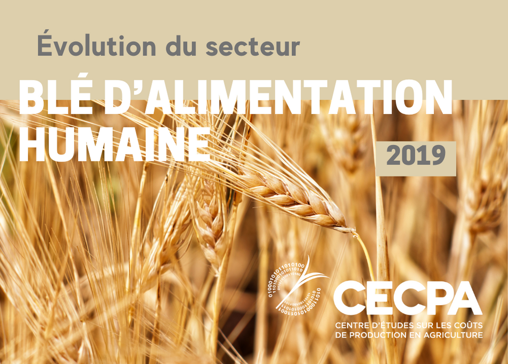 Pour les partenaires : ÉVOLUTION DU SECTEUR - BLÉ D'ALIMENTATION HUMAINE 2019